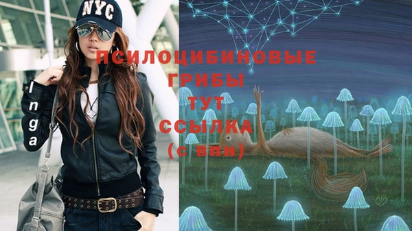 стафф Абаза