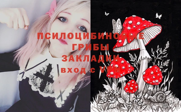 стафф Абаза