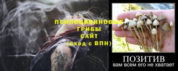 стафф Абаза