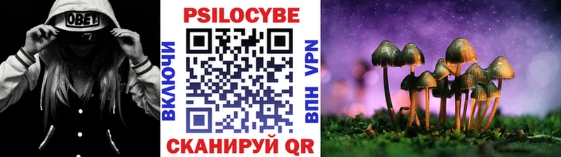 Галлюциногенные грибы Cubensis Норильск